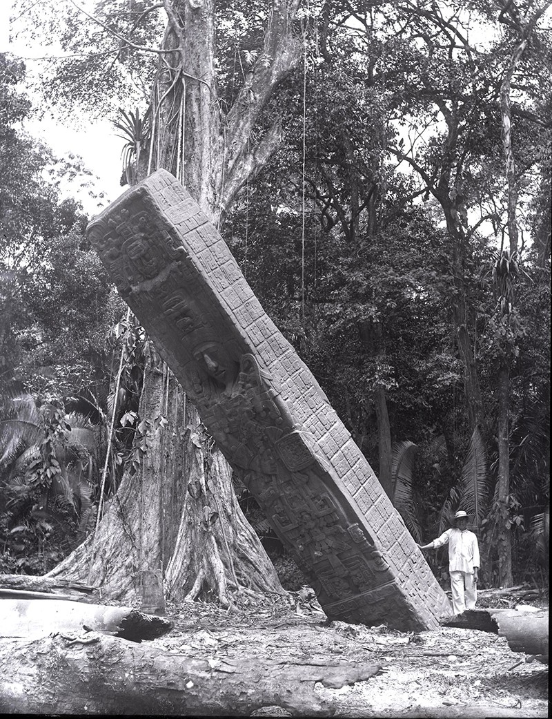 Stela E at Quiriguá, Guatemala