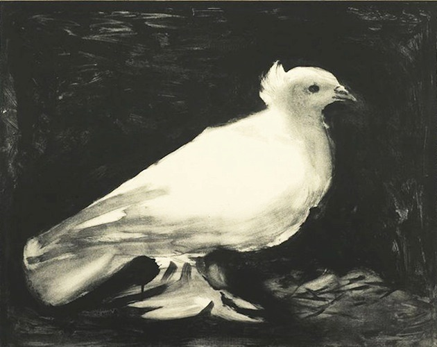 Pablo Picasso, Dove, 1949. The image became widely known as the Dove of Peace.