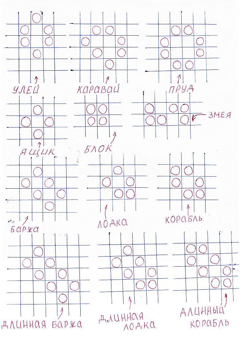 The author once explored configurations in Evolution–Life too, while explaining the rules to his school-aged son :)