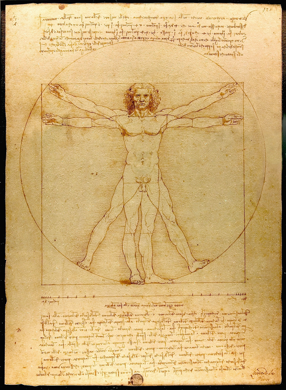 Vitruvian Man, 1490